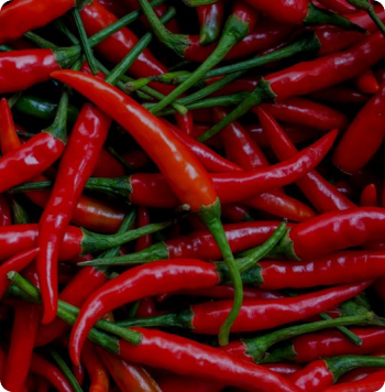 chillies